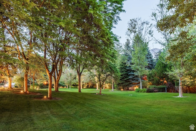 1384 N 450 E, Orem, UT 84097 - view of grassy yard