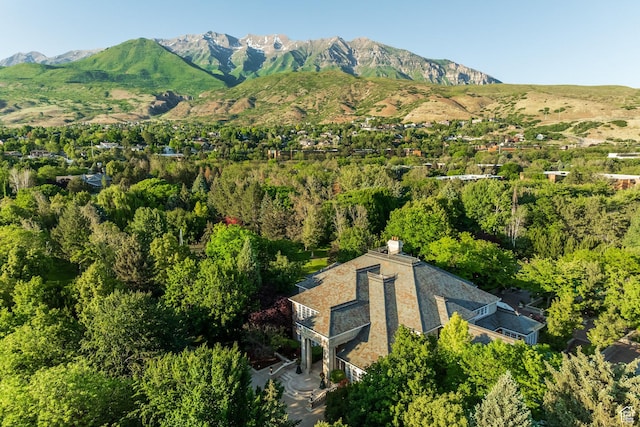 1384 N 450 E, Orem, UT 84097 - mountain view
