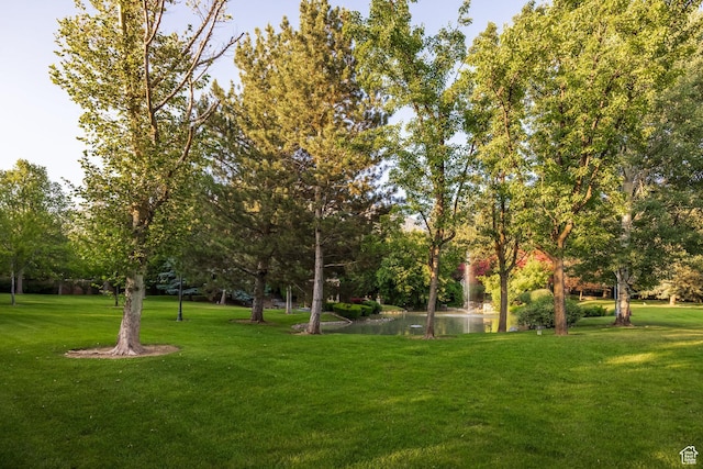1384 N 450 E, Orem, UT 84097 - view of green lawn with a water view