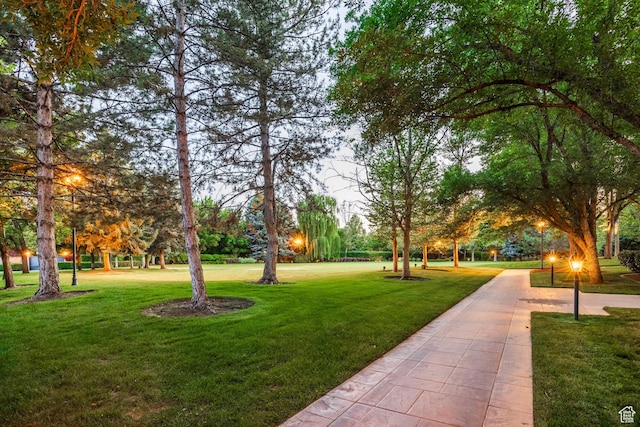 1384 N 450 E, Orem, UT 84097 - view of home's community featuring a yard