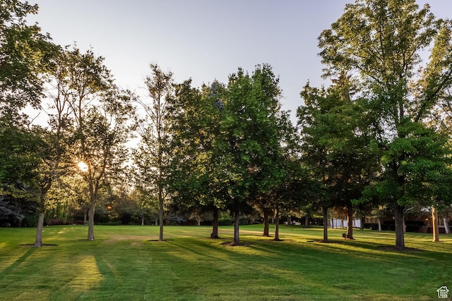 1384 N 450 E, Orem, UT 84097 - view of community featuring a yard