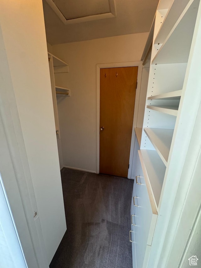 2650 E Willow Wick Dr, Sandy, UT 84093 - walk in closet with dark carpet and attic access