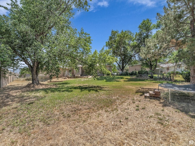 787 E Casa Blanco Cir, Midvale, UT 84047 - view of yard