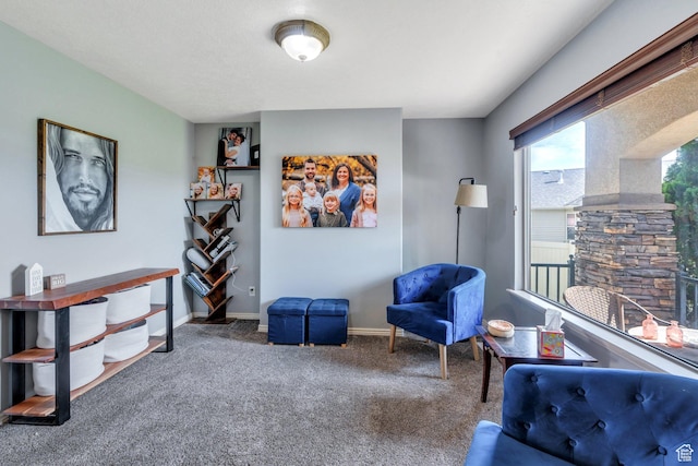 918 W Porcupine Cir, Saratoga Springs, UT 84045 - photo 7
