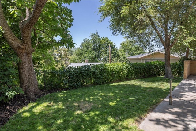 537 N Darwin St W, Salt Lake City, UT 84103 - view of green lawn