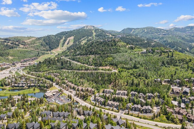 1148 Stonebridge Cir, Park City, UT 84060 - photo 54