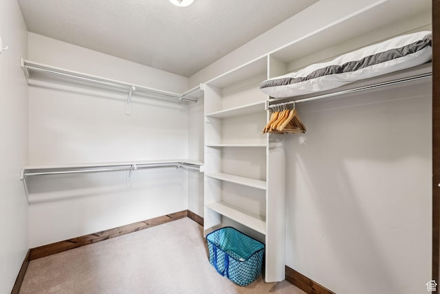 1046 W Abigail Dr, Heber City, UT 84032 - walk in closet featuring carpet floors