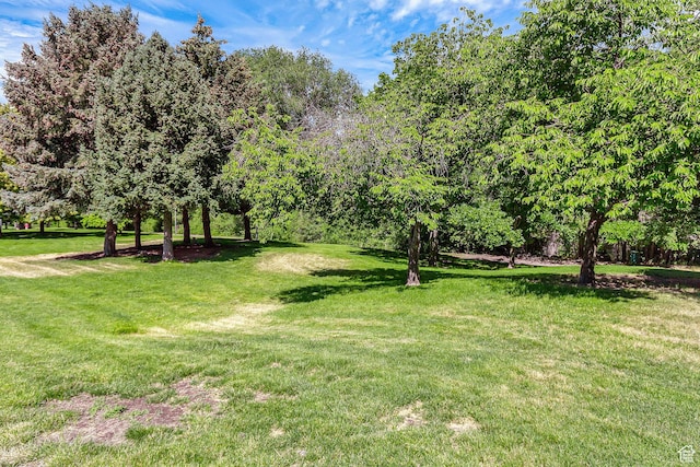 5005 N Edgewood Dr W Unit 301, Provo, UT 84604 - view of community with a lawn