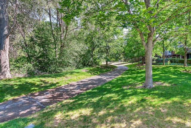 5005 N Edgewood Dr W Unit 301, Provo, UT 84604 - view of street