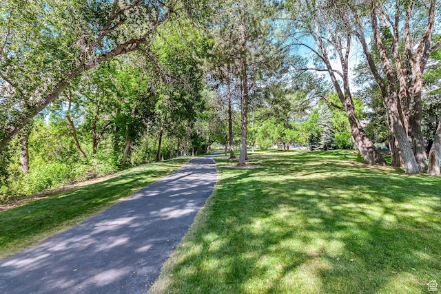 5005 N Edgewood Dr W Unit 301, Provo, UT 84604 - view of street