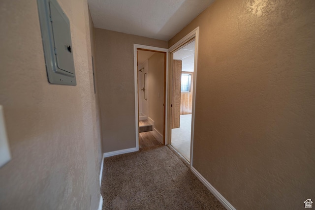 685 W 2550 S, Price, UT 84501 - corridor featuring electric panel, carpet flooring, and a textured wall