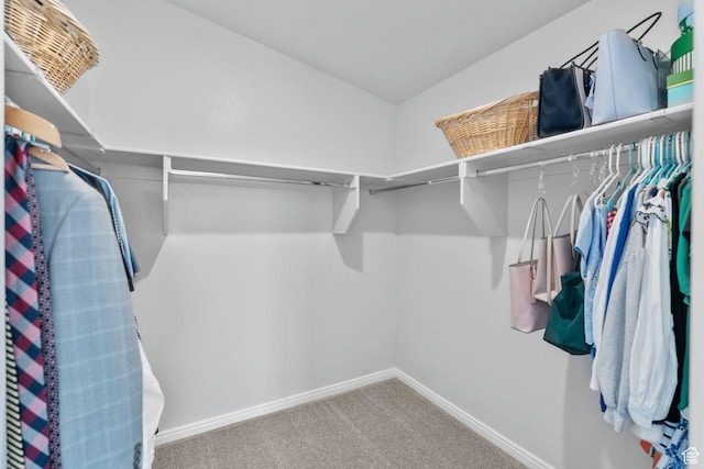 902 E 3950 S, Washington, UT 84780 - spacious closet with carpet
