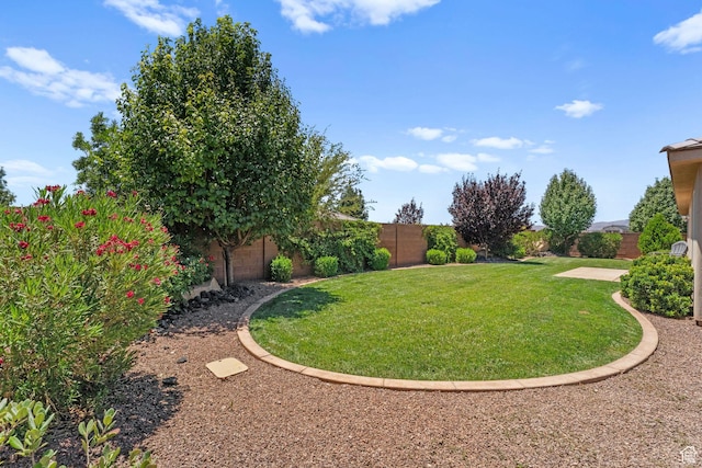 902 E 3950 S, Washington, UT 84780 - view of fenced backyard