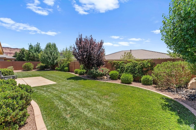 902 E 3950 S, Washington, UT 84780 - fenced backyard with a patio area