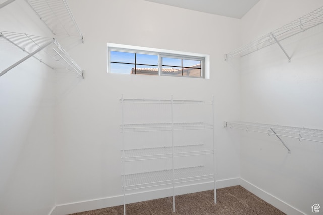 5529 W Sicily Ln N, Highland, UT 84003 - walk in closet featuring carpet flooring