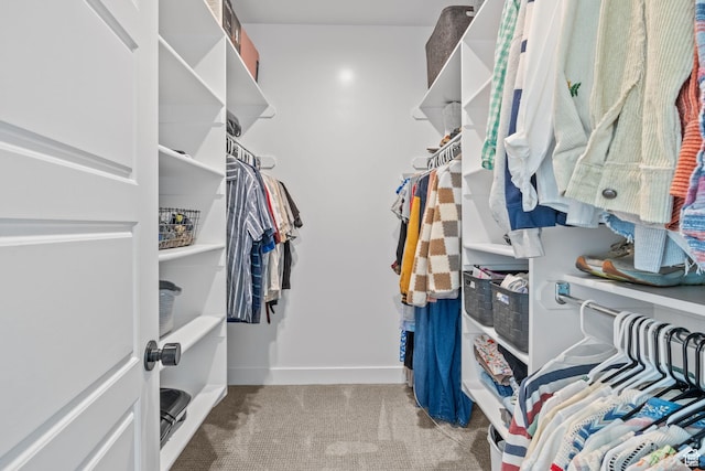 2245 W 800 S, Layton, UT 84041 - walk in closet featuring carpet floors