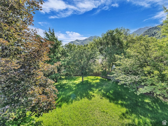 11551 S Woodhampton Dr E, Sandy, UT 84092 - view of mountain backdrop featuring a heavily wooded area