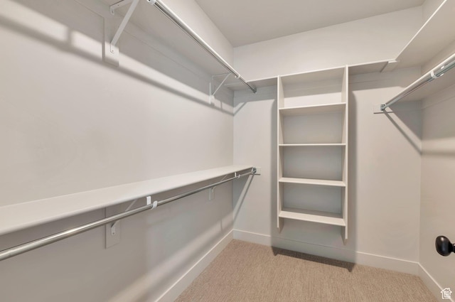 551 W Summerhill Ln, Centerville, UT 84014 - walk in closet with light colored carpet