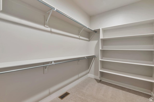551 W Summerhill Ln, Centerville, UT 84014 - walk in closet featuring carpet floors