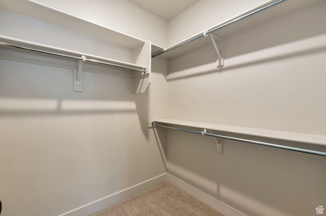 551 W Summerhill Ln, Centerville, UT 84014 - spacious closet featuring carpet flooring