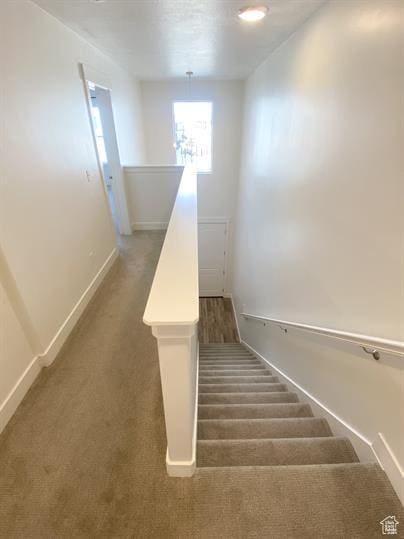 3985 W 1960 N, Lehi, UT 84043 - stairway with carpet floors and baseboards