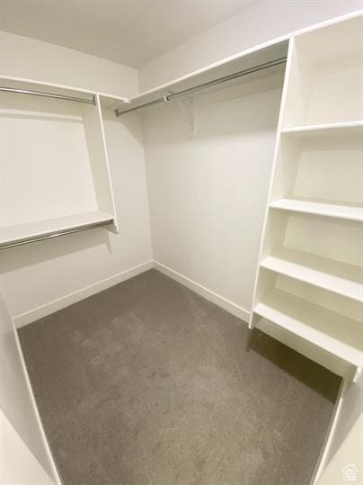 3985 W 1960 N, Lehi, UT 84043 - spacious closet featuring dark colored carpet