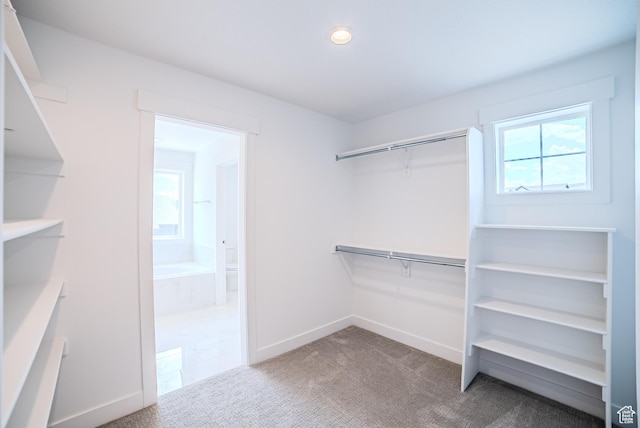 1272 S Boxelder Dr, Saratoga Springs, UT 84005 - spacious closet with carpet