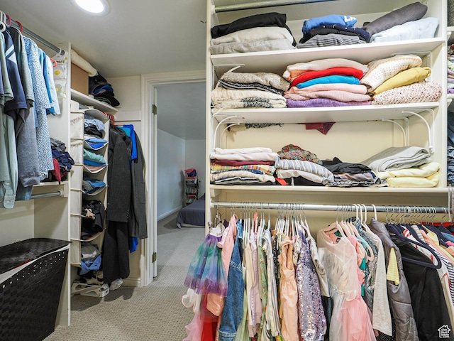 1527 E Princeton Ave S, Salt Lake City, UT 84105 - walk in closet with carpet