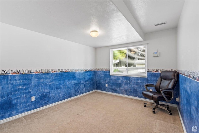 1014 W 4150 S, Riverdale, UT 84405 - unfurnished office featuring carpet floors, a wainscoted wall, and a textured ceiling