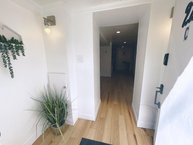 22 W 300 N, Salt Lake City, UT 84103 - hall with light wood-style flooring and baseboards