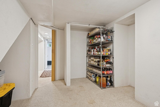 1026 W 800 N, Salt Lake City, UT 84116 - finished below grade area featuring carpet floors