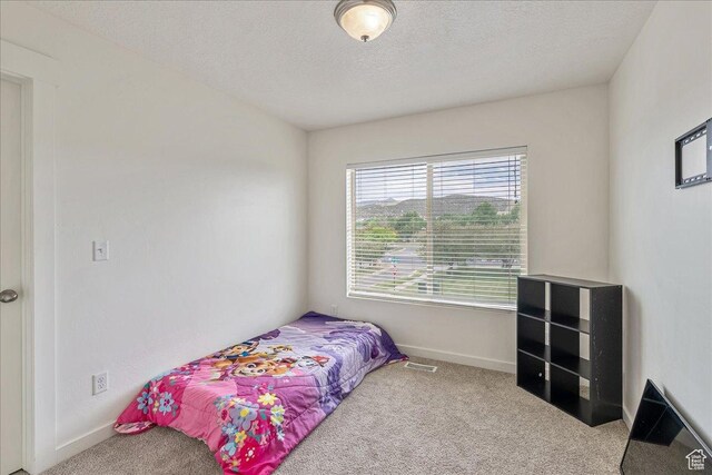 3283 E Simpson Springs Rd S, Eagle Mountain, UT 84005 - photo 19