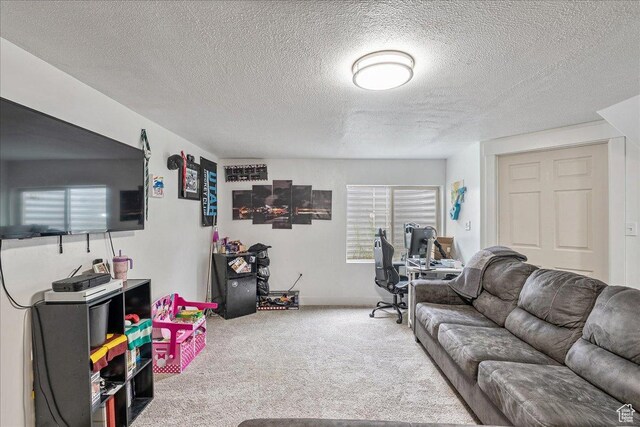 3283 E Simpson Springs Rd S, Eagle Mountain, UT 84005 - photo 23