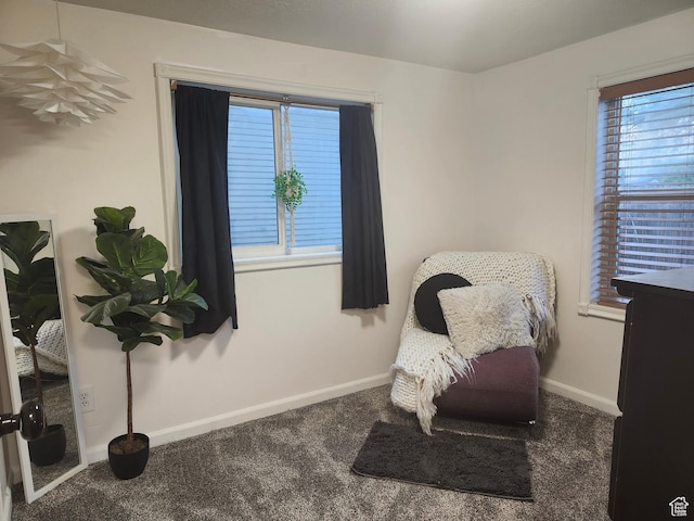 280 E Franklin St S, Ogden, UT 84401 - living area with carpet flooring and healthy amount of natural light