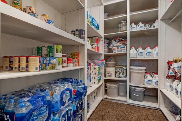 44 S 1000 E, Springville, UT 84663 - view of pantry