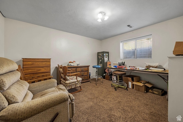44 S 1000 E, Springville, UT 84663 - view of carpeted home office