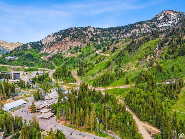 8816 S Alpen Way E, Cottonwood Heights, UT 84121 - mountain view featuring a forest