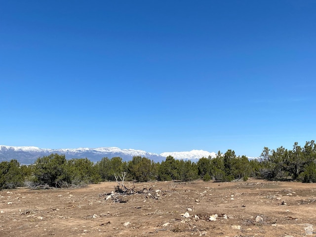 6980 E 11125 N Unit 7, Spring City, UT 84662 - photo 16