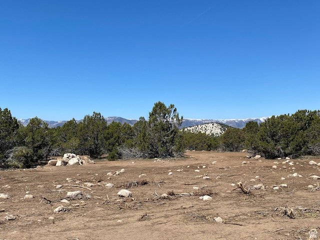 6980 E 11125 N Unit 7, Spring City, UT 84662 - photo 20