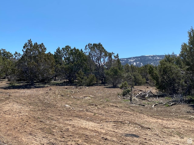 6980 E 11125 N Unit 7, Spring City, UT 84662 - photo 8