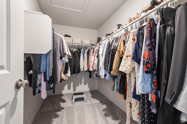 938 W Terracotta Dr, Saratoga Springs, UT 84045 - walk in closet featuring attic access and carpet flooring