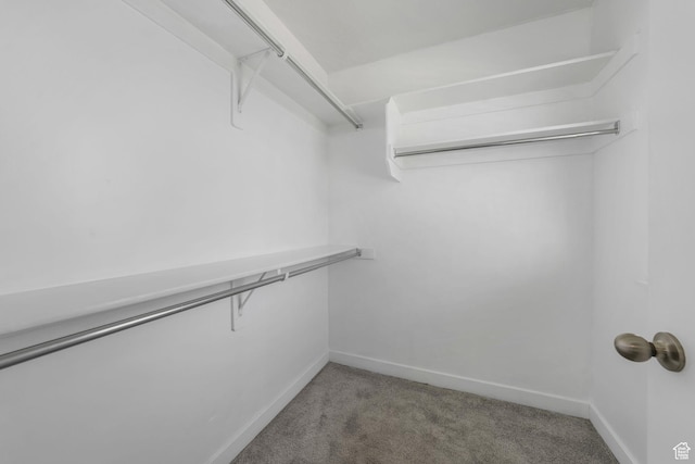 1666 W Rockaway Ln, West Jordan, UT 84084 - walk in closet with carpet