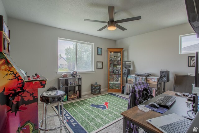 9172 S Plume Ct, West Jordan, UT 84081 - photo 29