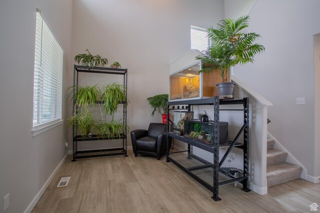 9172 S Plume Ct, West Jordan, UT 84081 - photo 7