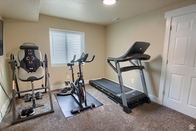 342 E Chiswick Ct, Stansbury Park, UT 84074 - exercise area with carpet