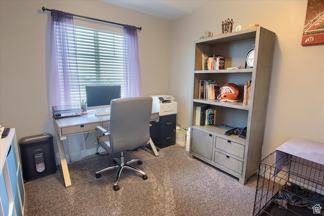 342 E Chiswick Ct, Stansbury Park, UT 84074 - office space featuring carpet flooring