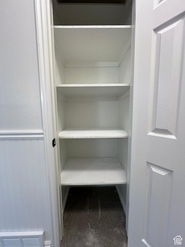345 E 350 N, Salem, UT 84653 - view of closet