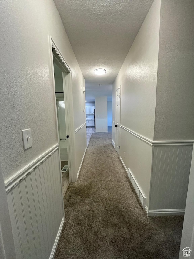 345 E 350 N, Salem, UT 84653 - hallway with a textured ceiling, carpet, and a textured wall