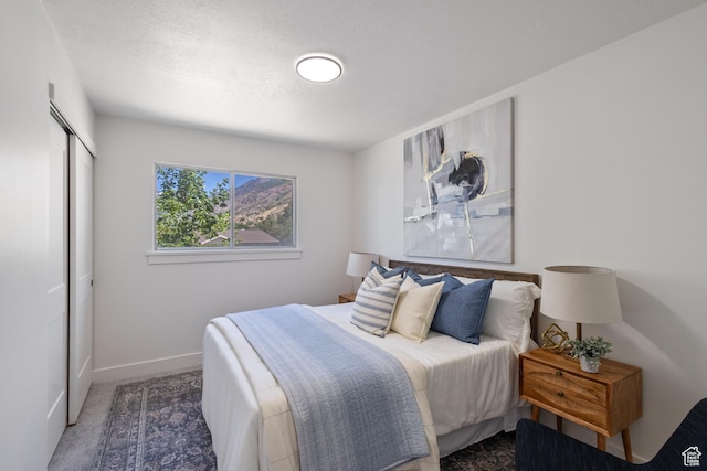 1488 E 580 S, Provo, UT 84606 - carpeted bedroom featuring a closet and baseboards