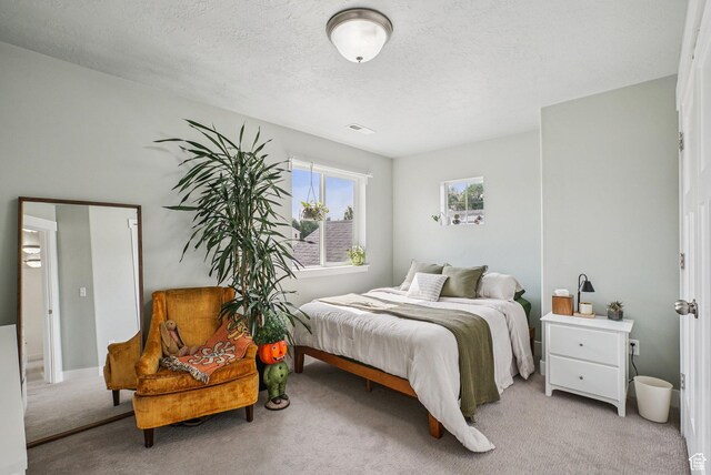 2577 W Garden Creek Way Unit 106, West Jordan, UT 84088 - bedroom with carpet floors and a textured ceiling